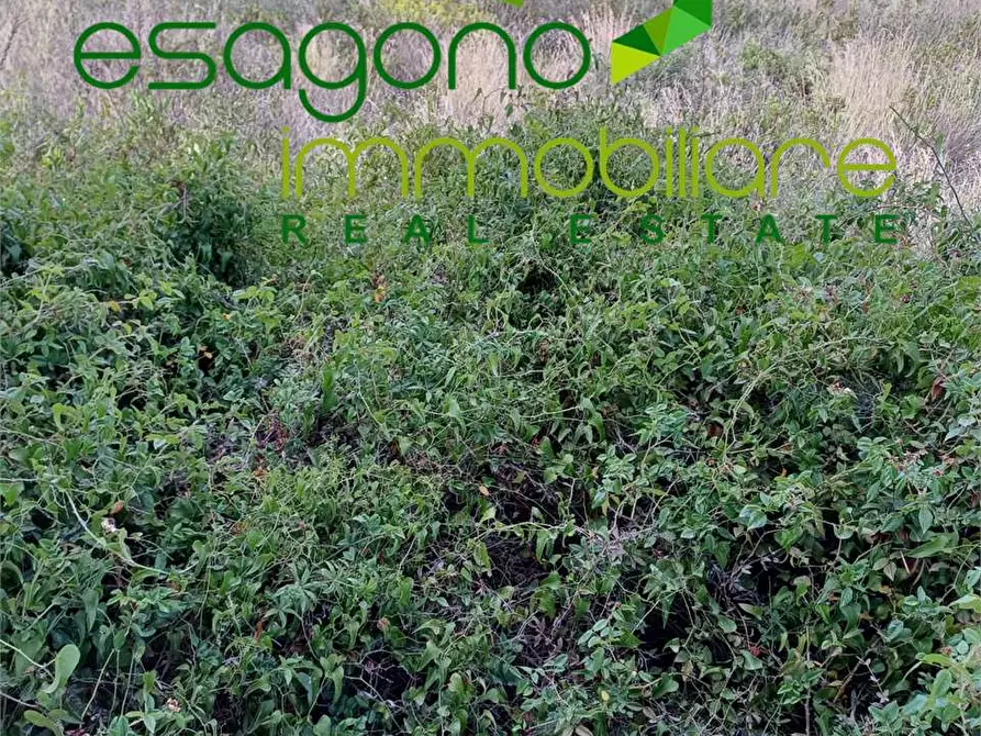 Immagine 3 di Terreno agricolo in vendita  a Siracusa