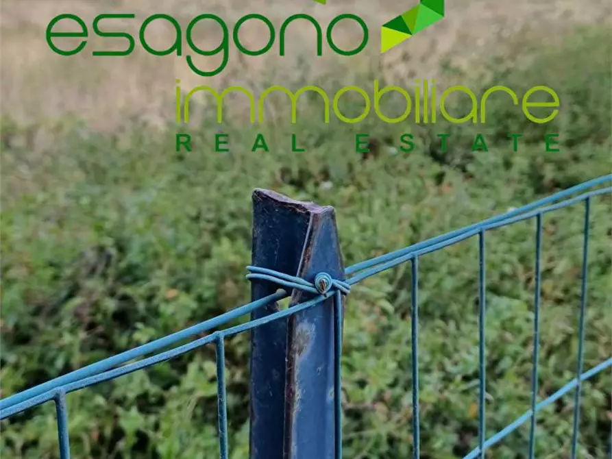 Immagine 4 di Terreno agricolo in vendita  a Siracusa