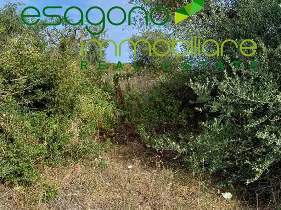 Immagine 6 di Terreno agricolo in vendita  a Siracusa