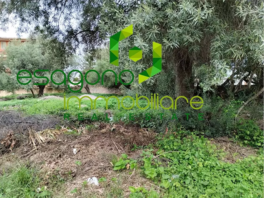 Immagine 3 di Terreno edificabile in vendita  a Siracusa