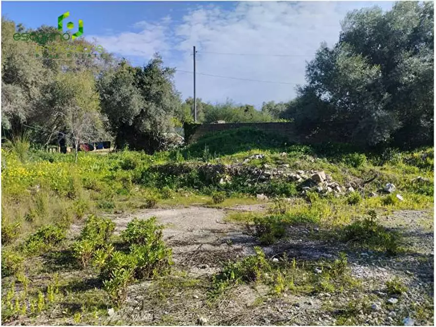 casa indipendente in vendita a Siracusa in zona Belvedere