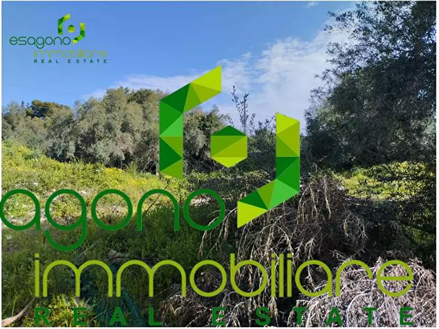 Immagine 4 di Terreno edificabile in vendita  a Siracusa