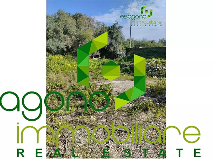 Immagine 3 di Terreno edificabile in vendita  a Siracusa