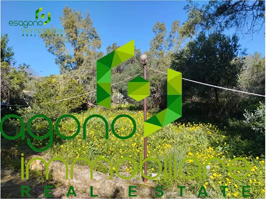 Immagine 8 di Terreno edificabile in vendita  a Siracusa