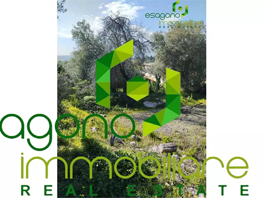 Immagine 9 di Terreno edificabile in vendita  a Siracusa