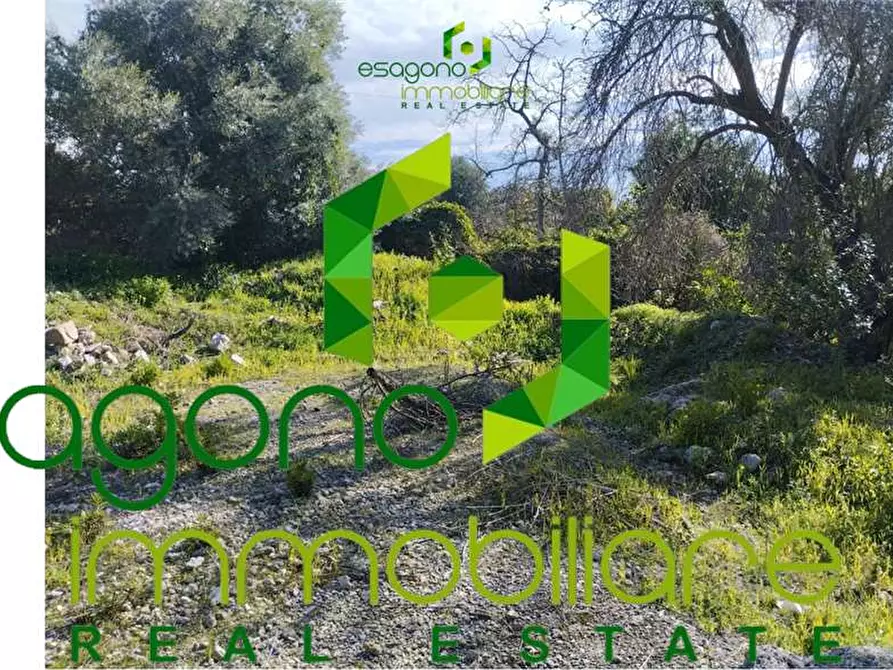 Immagine 2 di Terreno edificabile in vendita  a Siracusa