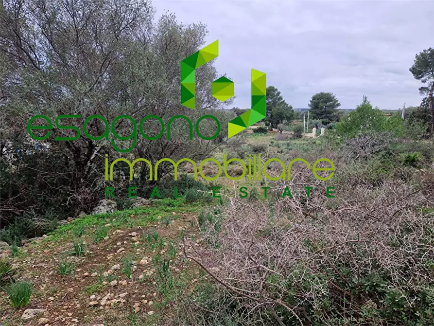 Immagine 2 di Terreno edificabile in vendita  in Cugni Stallaini a Siracusa