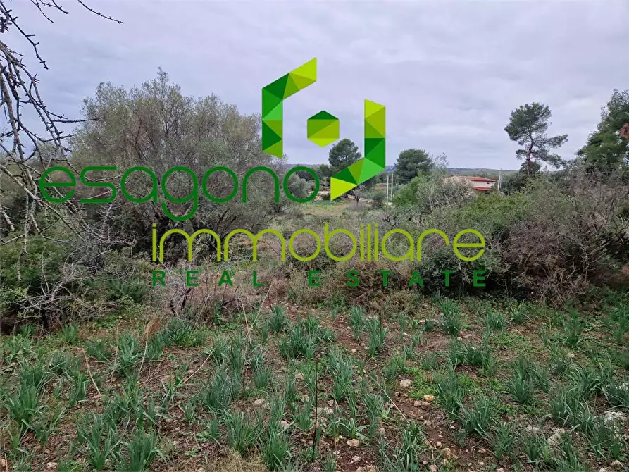 Immagine 3 di Terreno edificabile in vendita  in Cugni Stallaini a Siracusa