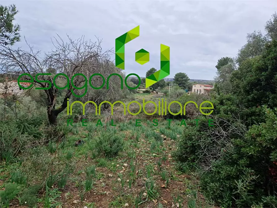 Immagine 8 di Terreno edificabile in vendita  in Cugni Stallaini a Siracusa
