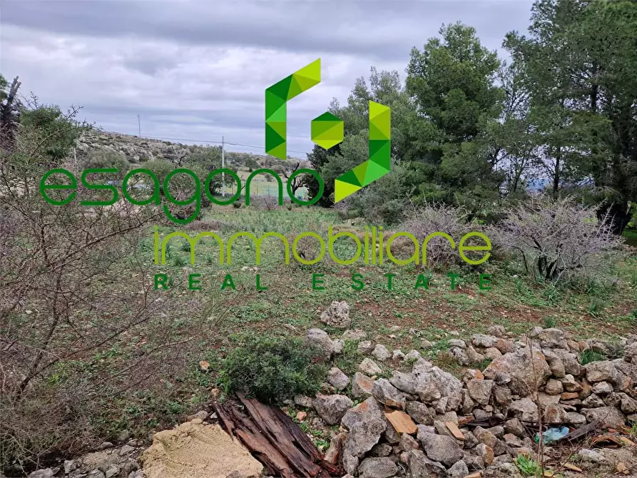Immagine 16 di Terreno edificabile in vendita  in Cugni Stallaini a Siracusa