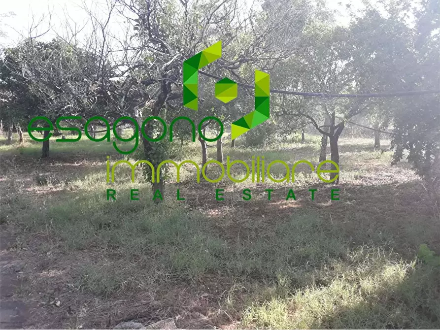 Immagine 13 di Villa in vendita  in Tivoli a Siracusa