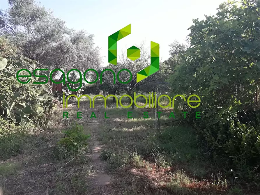 Immagine 14 di Villa in vendita  in Tivoli a Siracusa