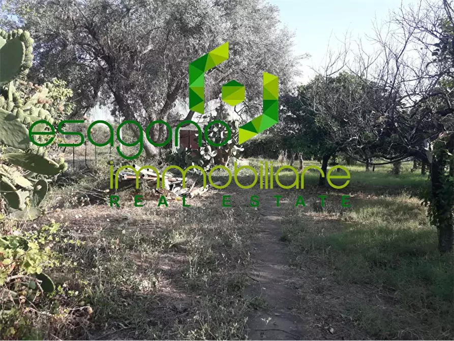 Immagine 16 di Villa in vendita  in Tivoli a Siracusa