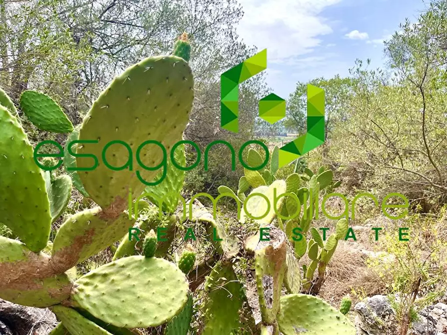 Immagine 1 di Rustico / casale in vendita  in Epipoli a Siracusa