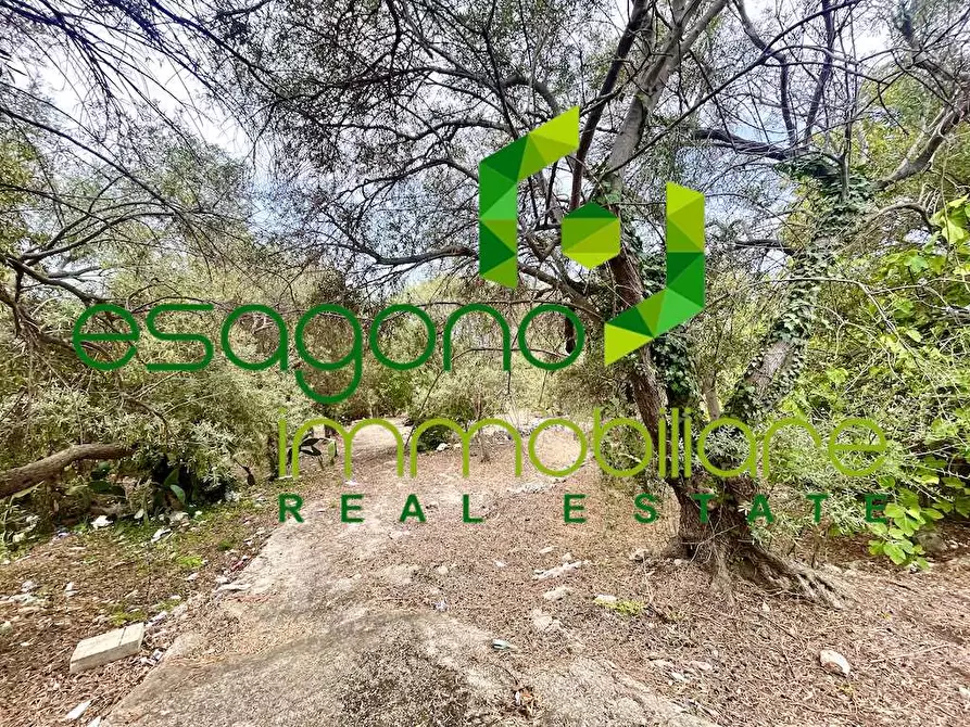 Immagine 3 di Rustico / casale in vendita  in Epipoli a Siracusa