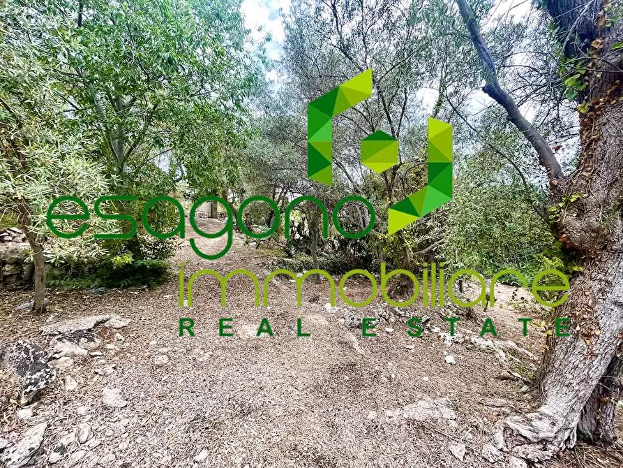 Immagine 4 di Rustico / casale in vendita  in Epipoli a Siracusa