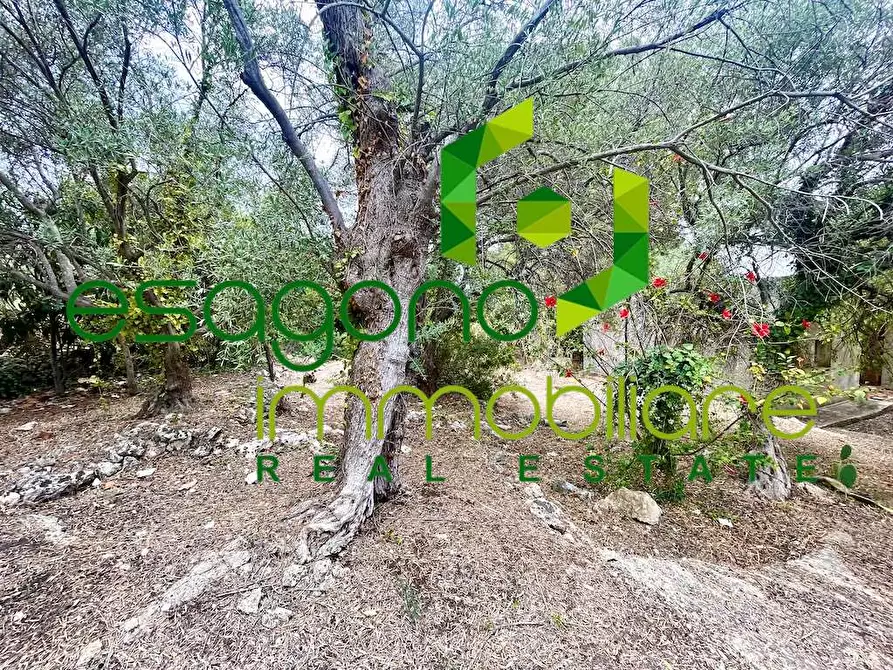 Immagine 5 di Rustico / casale in vendita  in Epipoli a Siracusa