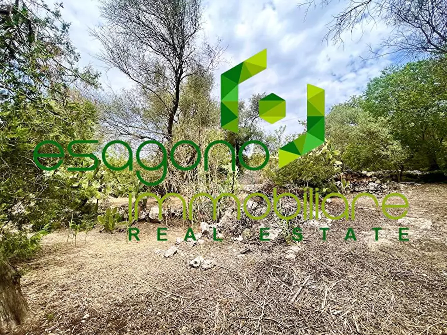 Immagine 7 di Rustico / casale in vendita  in Epipoli a Siracusa