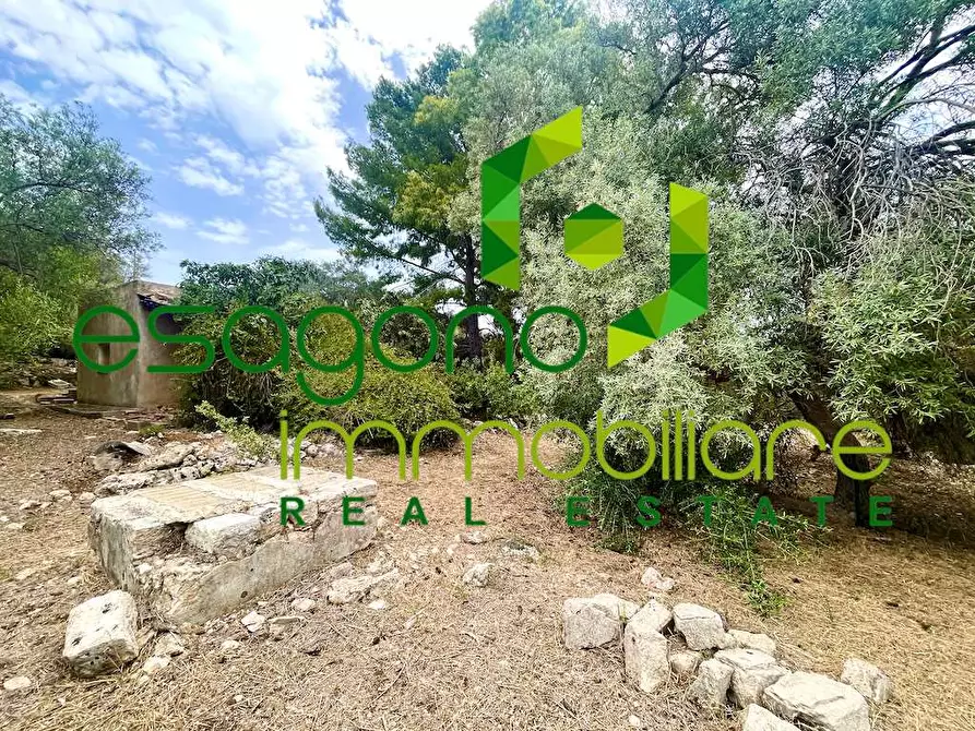 Immagine 13 di Rustico / casale in vendita  in Epipoli a Siracusa