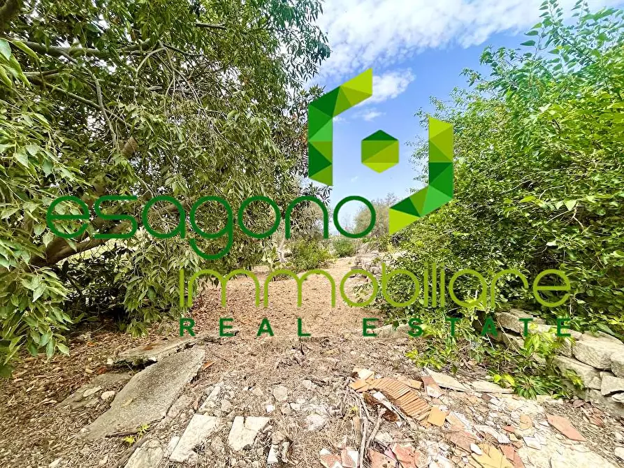 Immagine 14 di Rustico / casale in vendita  in Epipoli a Siracusa