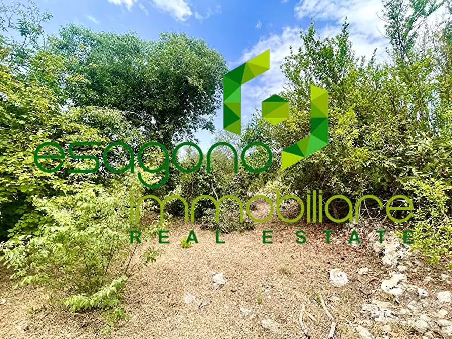 Immagine 16 di Rustico / casale in vendita  in Epipoli a Siracusa