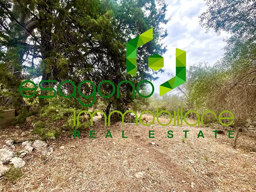 Immagine 17 di Rustico / casale in vendita  in Epipoli a Siracusa