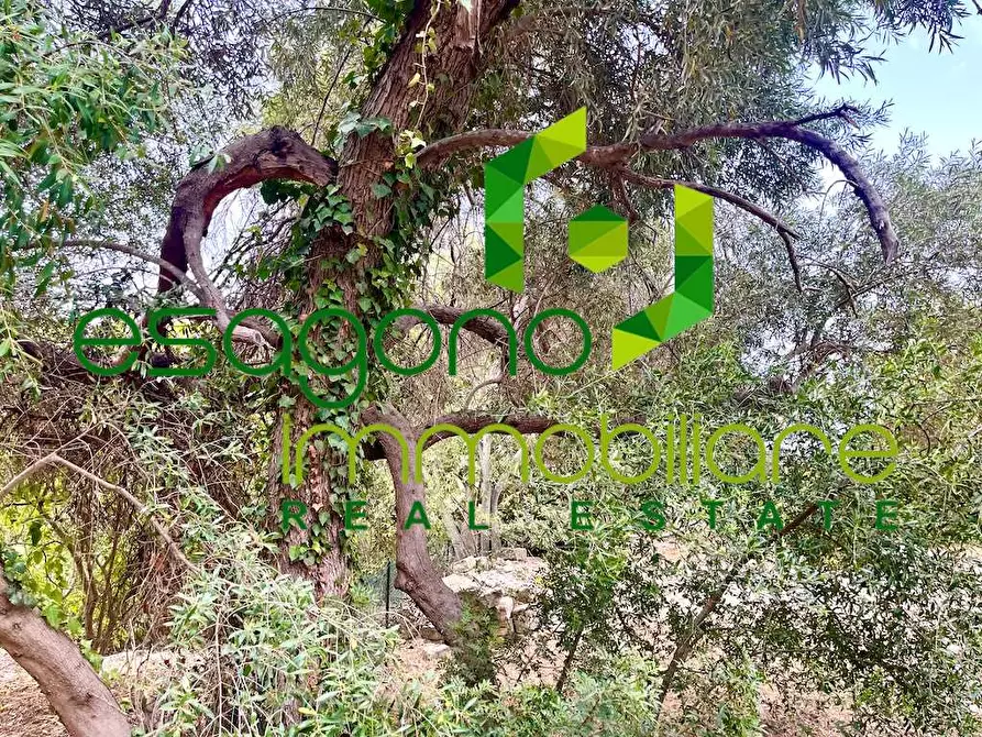 Immagine 18 di Rustico / casale in vendita  in Epipoli a Siracusa