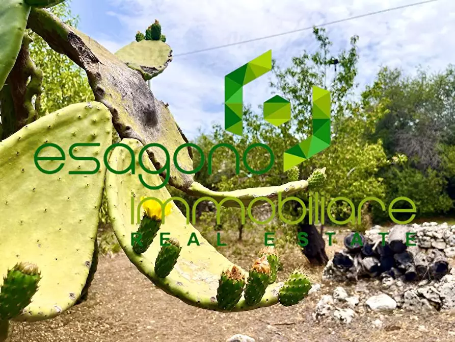Immagine 19 di Rustico / casale in vendita  in Epipoli a Siracusa