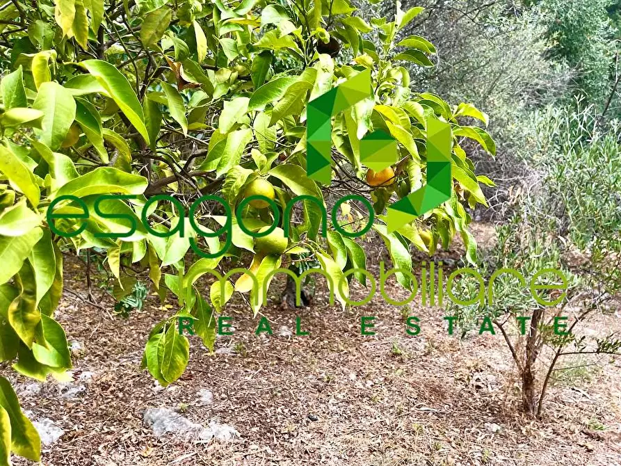 Immagine 20 di Rustico / casale in vendita  in Epipoli a Siracusa