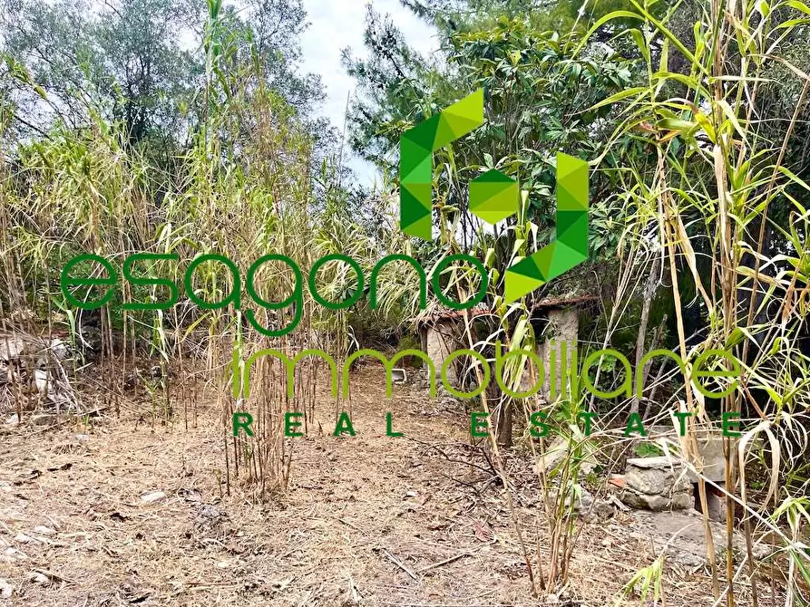 Immagine 21 di Rustico / casale in vendita  in Epipoli a Siracusa