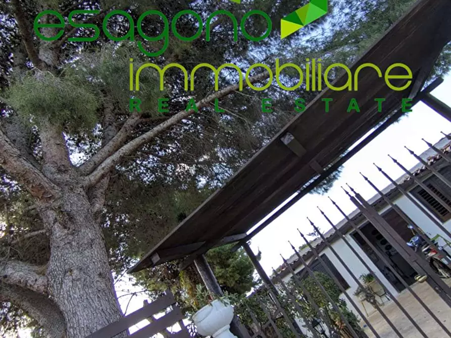 Immagine 18 di Villa in affitto  a Siracusa