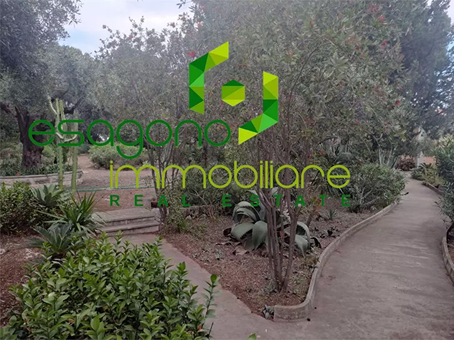 Immagine 12 di Villa in affitto  in Viale Epipoli a Siracusa