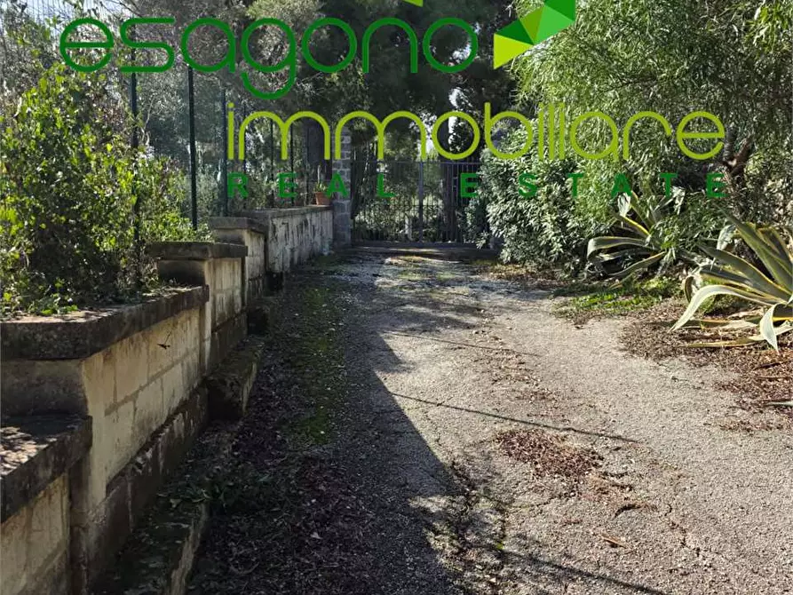 Immagine 16 di Villa in affitto  in Viale Epipoli a Siracusa