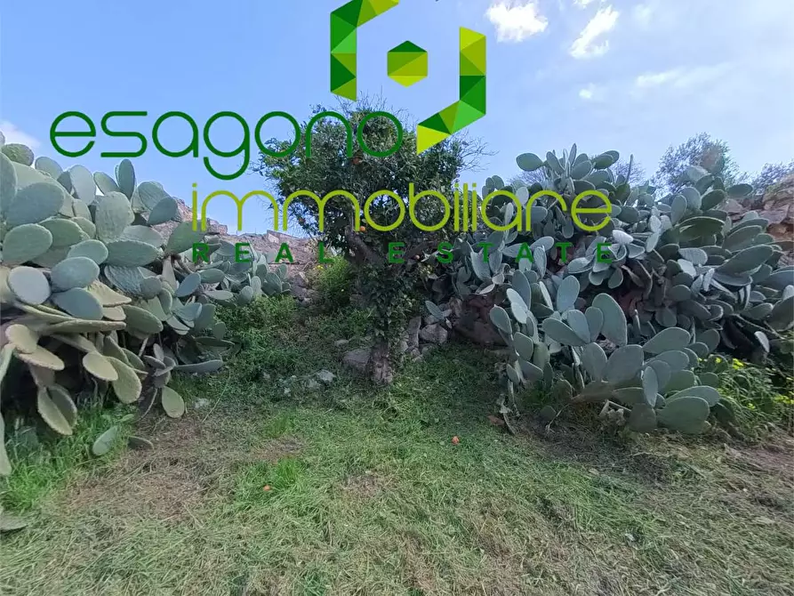 Immagine 31 di Casa indipendente in vendita  a Santa Croce Camerina