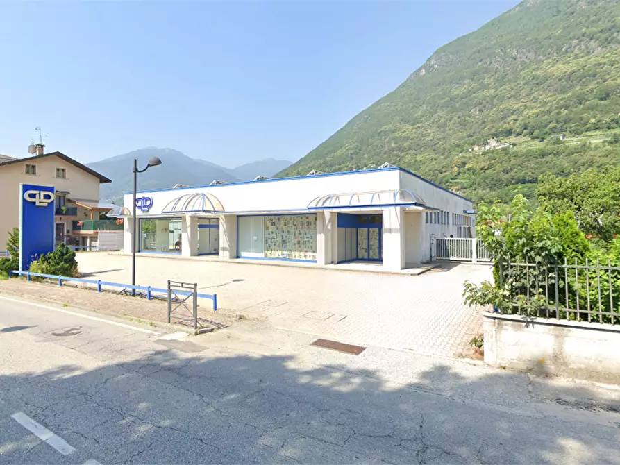 Immagine 1 di Capannone industriale in vendita  in Via Sempione 156 a Crevoladossola