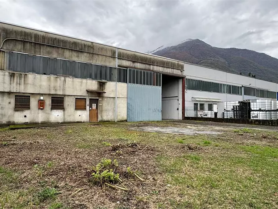Immagine 2 di Capannone industriale in vendita  in Località Sassonia 13 a Piedimulera