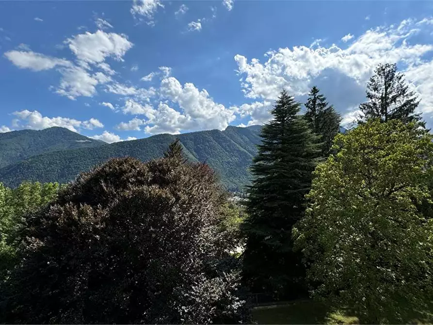 Immagine 48 di Villa in vendita  a Toceno