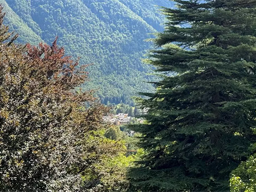 Immagine 49 di Villa in vendita  a Toceno