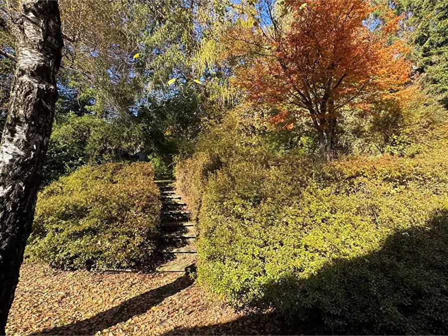 Immagine 51 di Villa in vendita  a Toceno