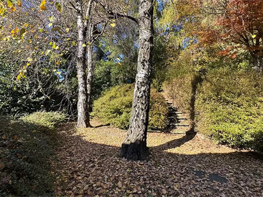 Immagine 52 di Villa in vendita  a Toceno