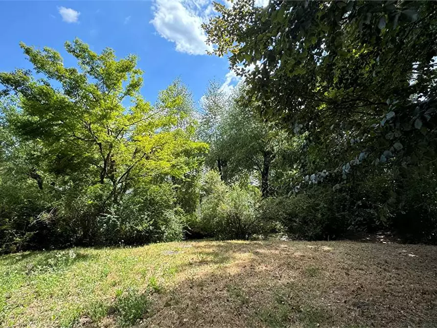 Immagine 55 di Villa in vendita  a Toceno