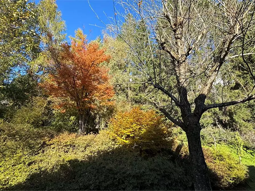 Immagine 56 di Villa in vendita  a Toceno