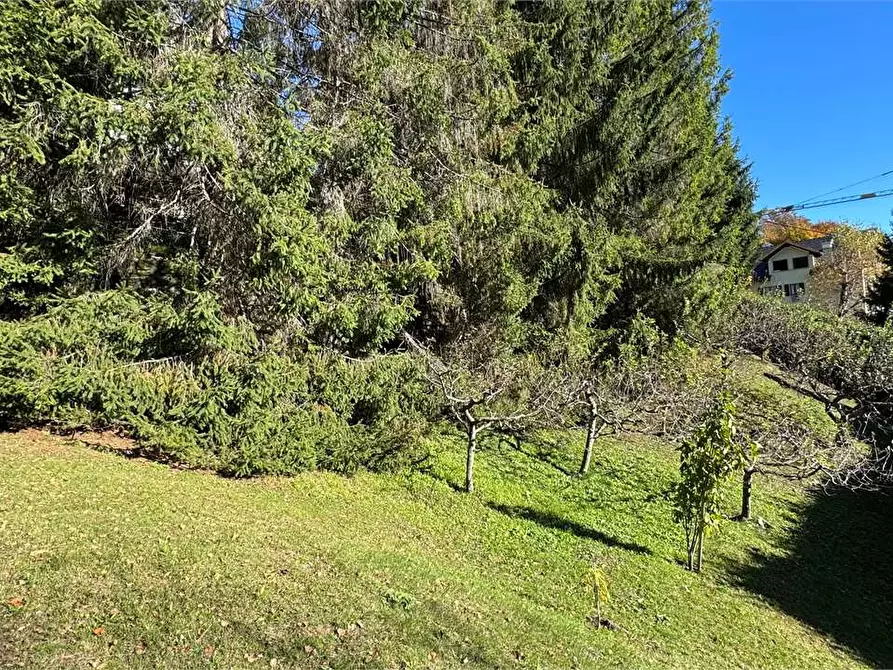 Immagine 57 di Villa in vendita  a Toceno