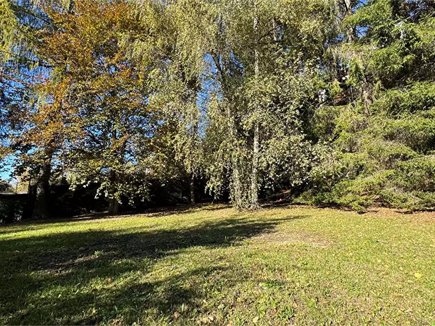 Immagine 59 di Villa in vendita  a Toceno