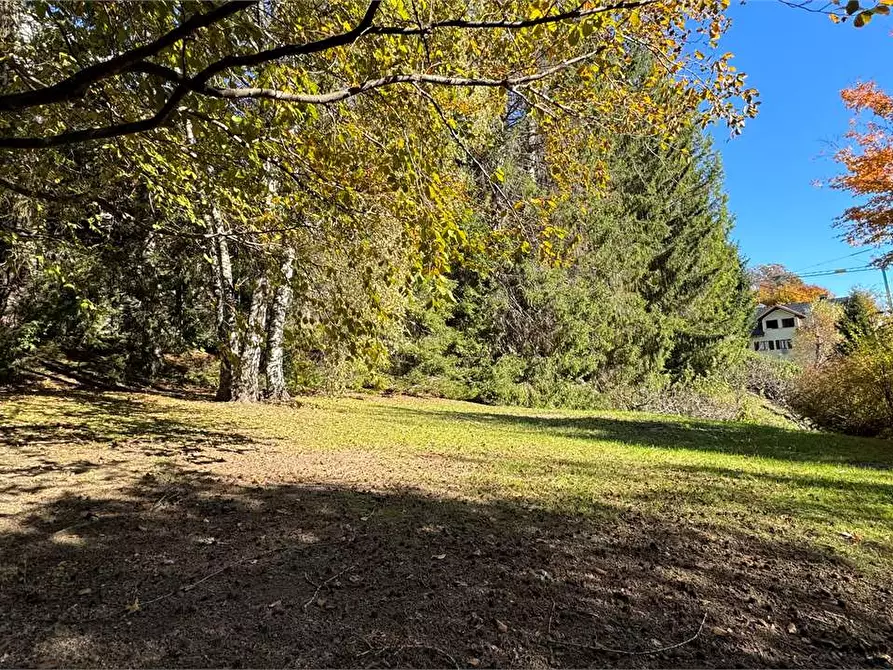 Immagine 60 di Villa in vendita  a Toceno