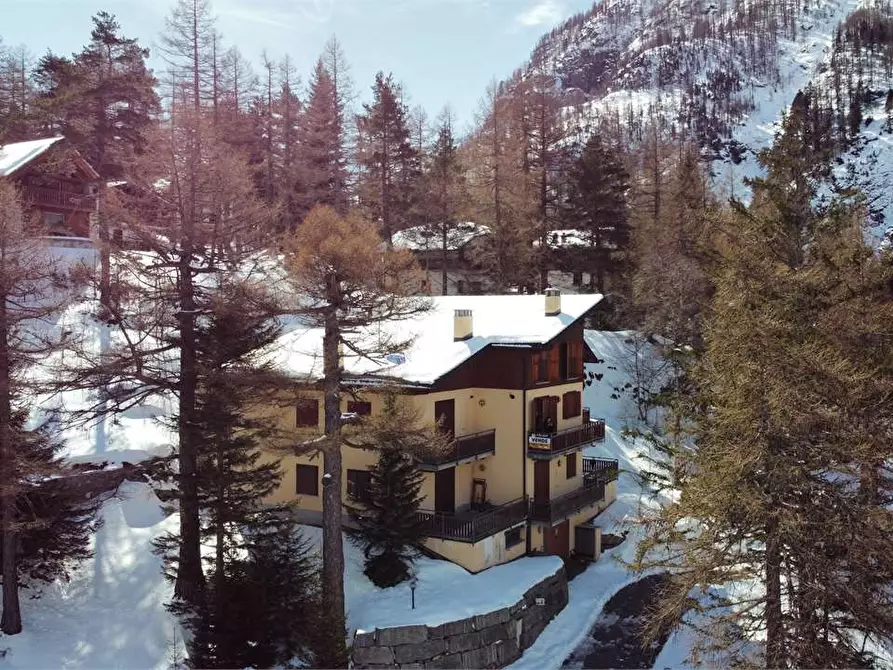 Immagine 3 di Trilocale in vendita  in Località San Domenico a Varzo