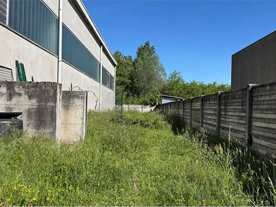 Immagine 13 di Capannone industriale in vendita  in Località Sassonia 16 a Piedimulera
