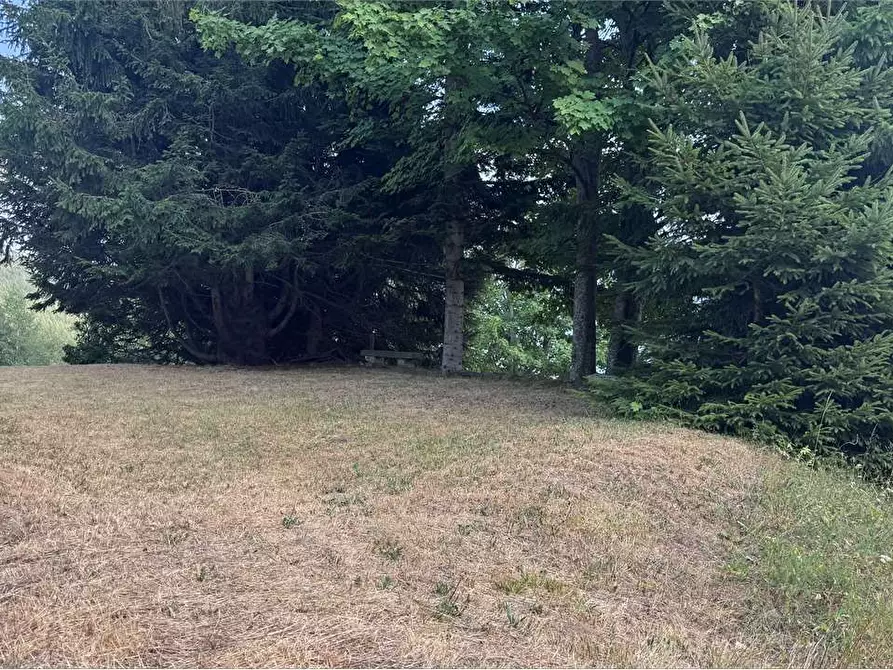 Immagine 29 di Casa indipendente in vendita  in Loc. Vercengio a Bognanco