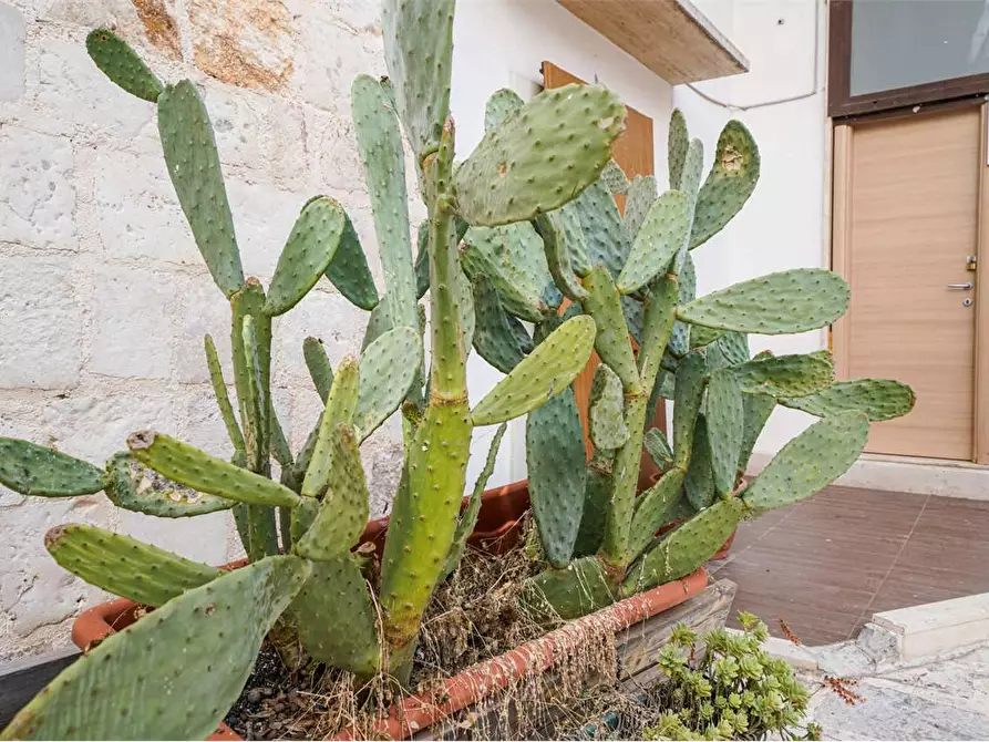 Immagine 11 di Negozio in vendita  in Vico Piazza Garibaldi 2 a Acquaviva Delle Fonti