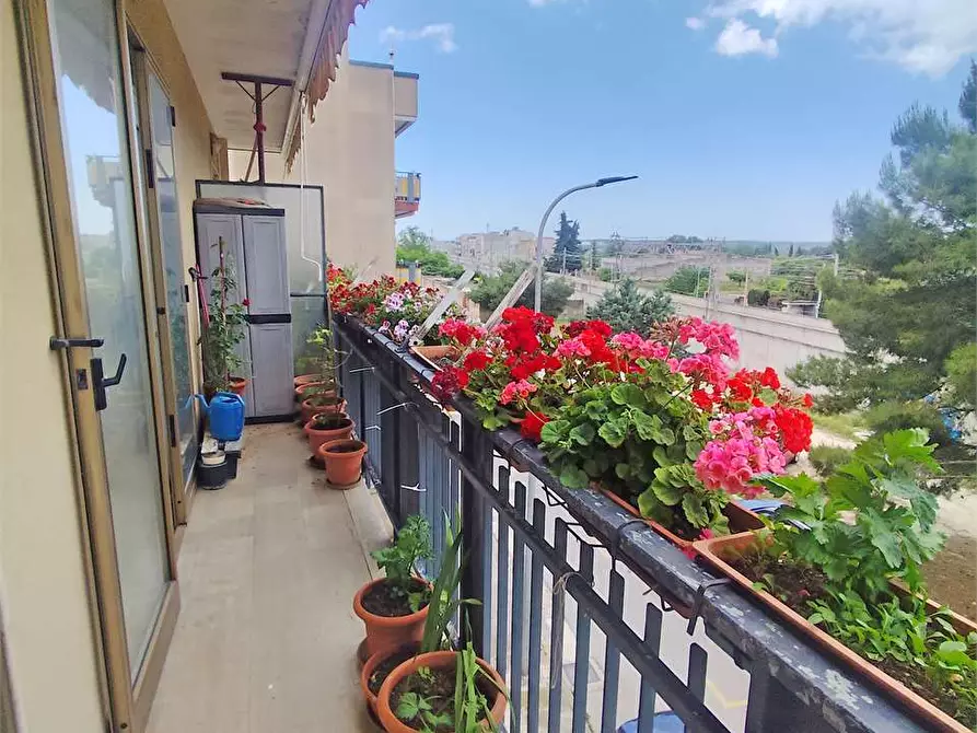 Immagine 7 di Quadrilocale in vendita  a Acquaviva Delle Fonti